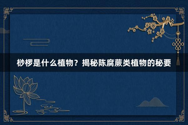 桫椤是什么植物？揭秘陈腐蕨类植物的秘要